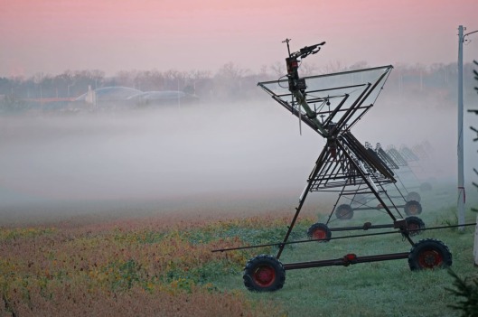 november-4-2016-equipment-sunrise-color-and-fog